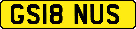 GS18NUS