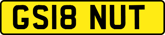 GS18NUT