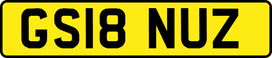 GS18NUZ