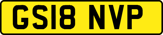 GS18NVP