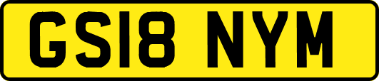 GS18NYM