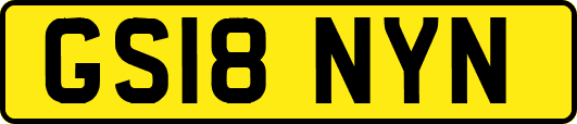 GS18NYN