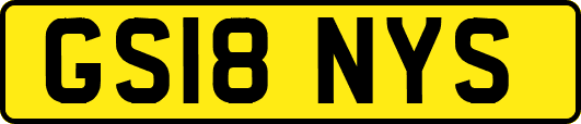 GS18NYS