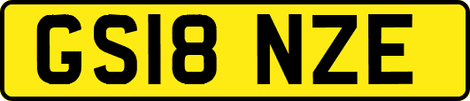 GS18NZE