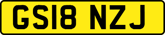 GS18NZJ