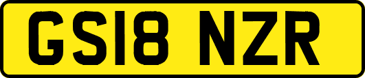GS18NZR