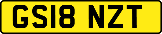 GS18NZT