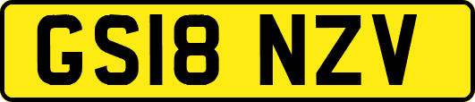 GS18NZV
