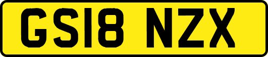 GS18NZX