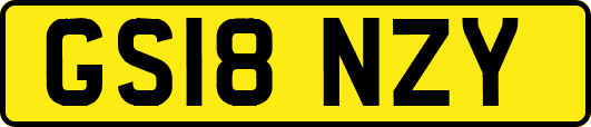 GS18NZY