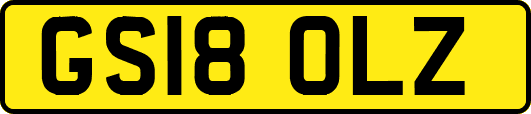 GS18OLZ