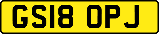 GS18OPJ