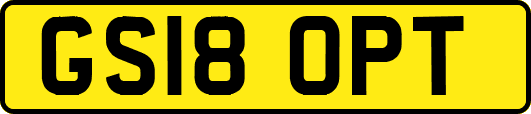 GS18OPT