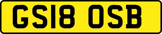GS18OSB