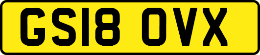 GS18OVX