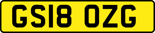 GS18OZG