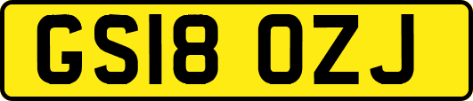 GS18OZJ