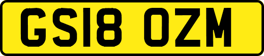 GS18OZM