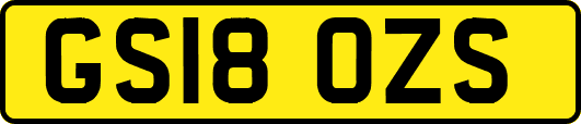 GS18OZS