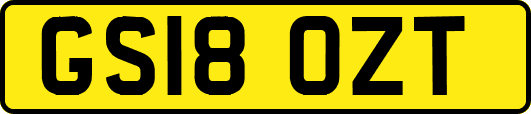 GS18OZT
