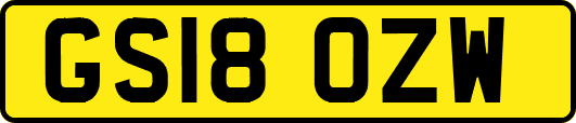 GS18OZW