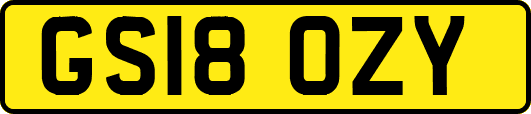 GS18OZY
