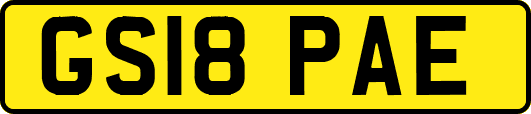GS18PAE