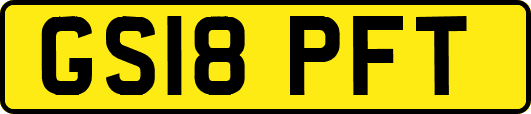 GS18PFT