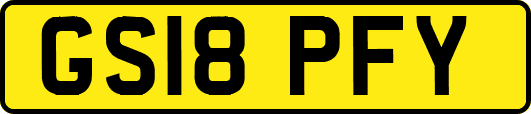 GS18PFY