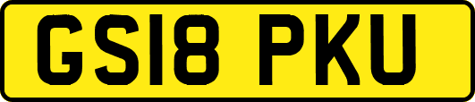 GS18PKU