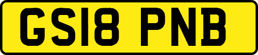 GS18PNB