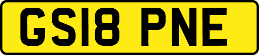 GS18PNE
