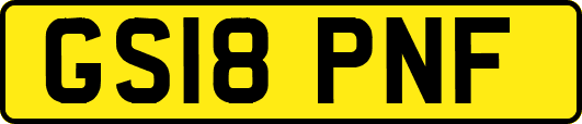 GS18PNF