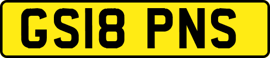 GS18PNS