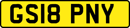 GS18PNY