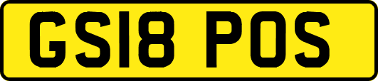 GS18POS