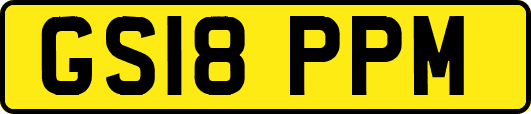 GS18PPM