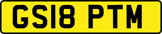 GS18PTM