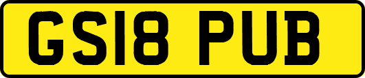 GS18PUB