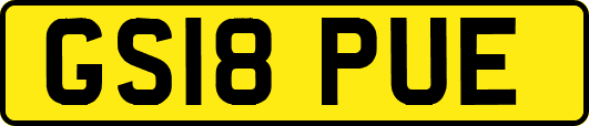 GS18PUE