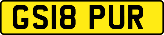 GS18PUR