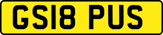 GS18PUS