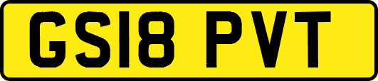 GS18PVT