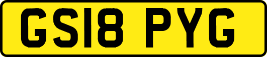 GS18PYG
