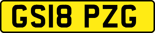 GS18PZG