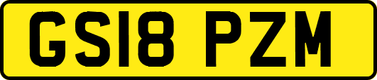 GS18PZM