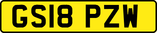 GS18PZW