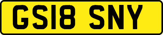 GS18SNY