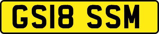 GS18SSM