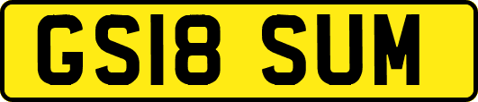 GS18SUM